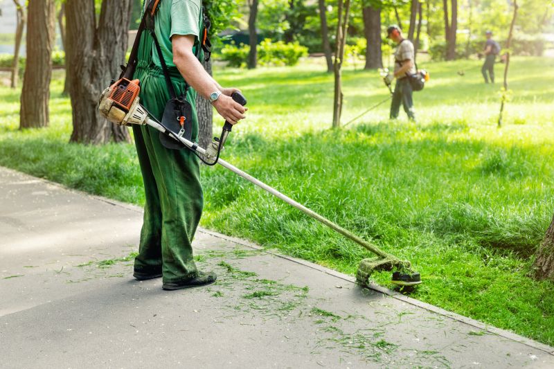 Lawn Maintenance Professionals