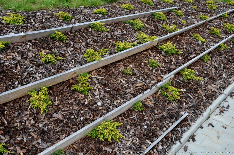 Wood Mulch Installation