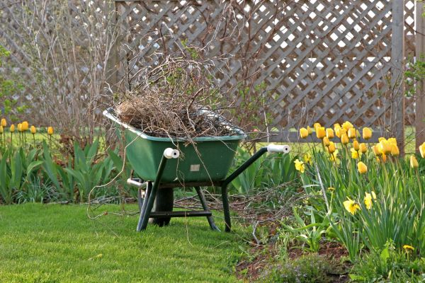 Flower Bed Cleanup Service in Alpharetta