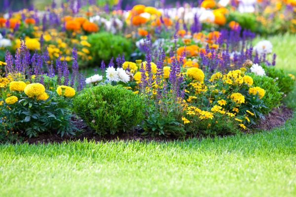 Flower Bed Maintenance in Alpharetta