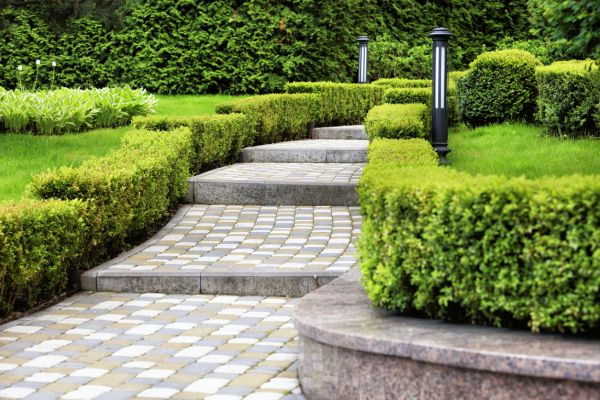 Backyard Remodeling in Alpharetta