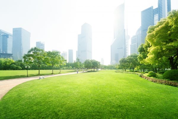 Commercial Landscape Maintenance in Alpharetta