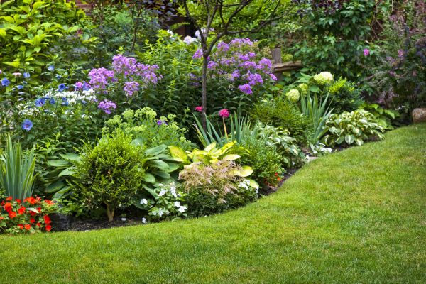 Flower Bed Service in Alpharetta