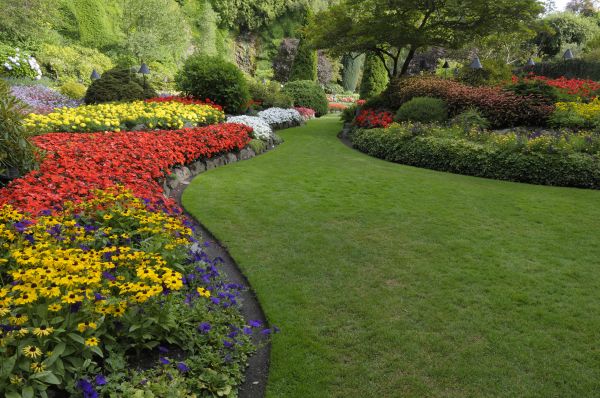 Landscaping Maintenance in Alpharetta