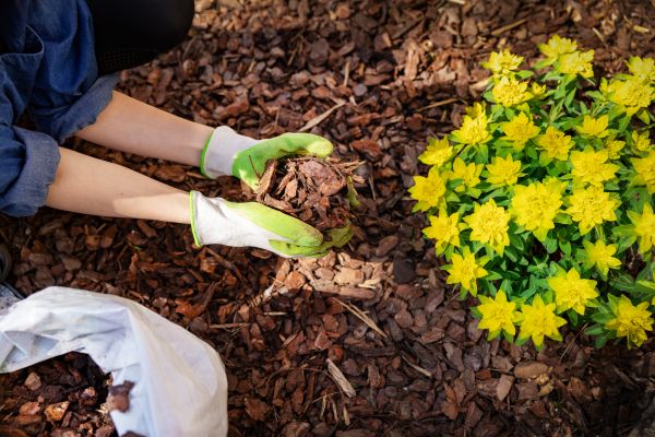Garden Mulching in Alpharetta