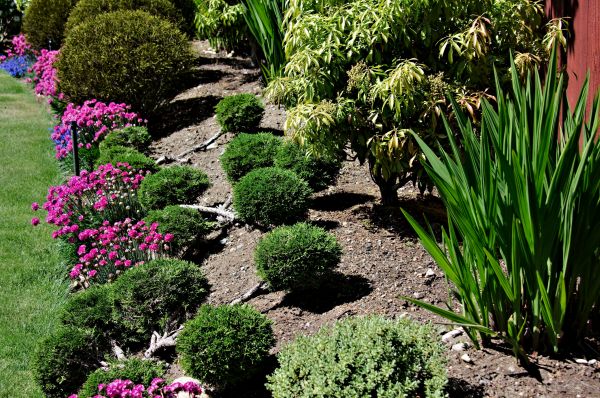 Residential Gardening in Alpharetta