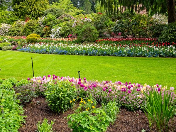 Residential Landscape Design in Alpharetta