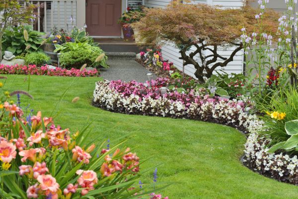 Perennial Landscaping in Alpharetta