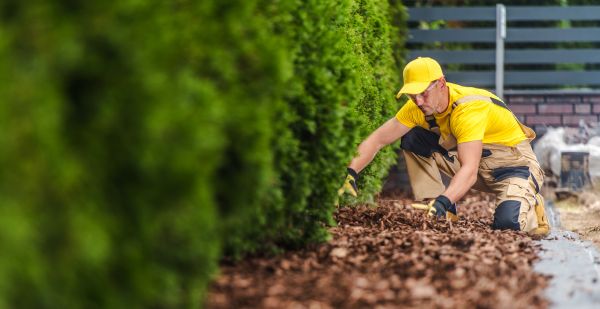 Cypress Mulch Installation in Alpharetta