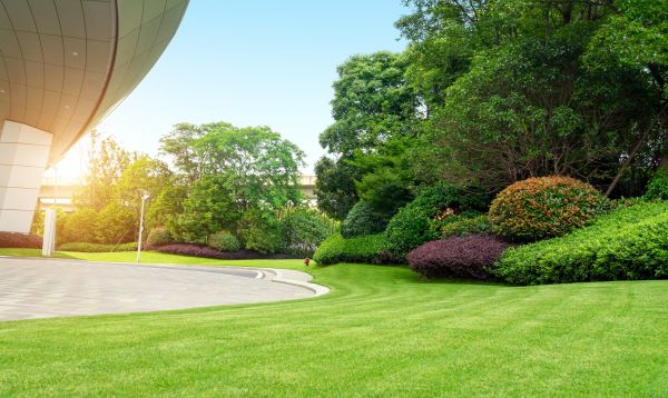 Business Landscape Design in Alpharetta