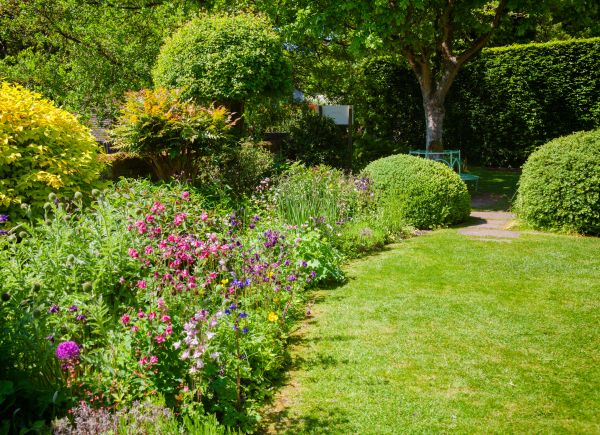 Yard Landscaping Service in Alpharetta