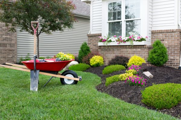 Tree And Shrub Planting in Alpharetta