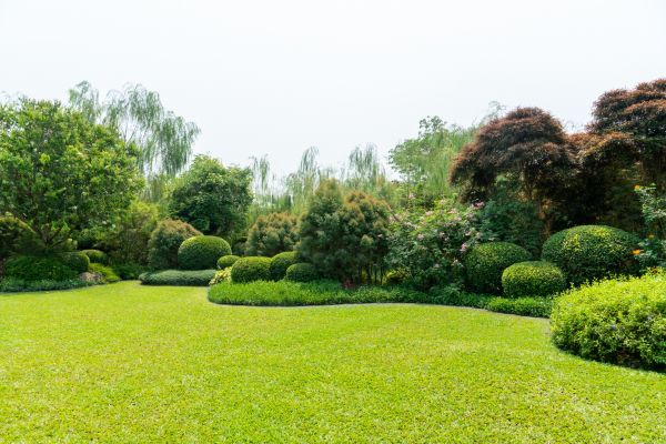 Tree Landscaping in Alpharetta