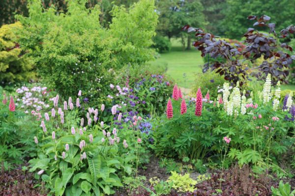 Flower Bed Planting in Alpharetta