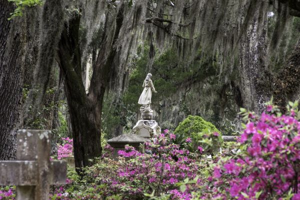Cemetery Landscaping in Alpharetta