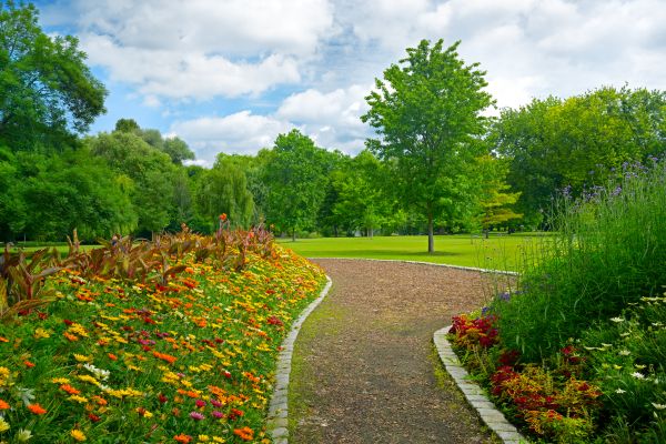 Park Landscaping in Alpharetta