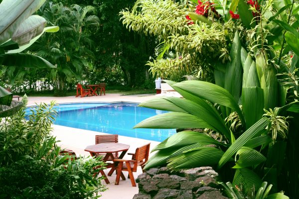 Tropical Garden Landscaping in Alpharetta