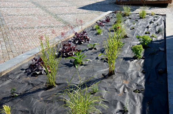 Landscape Fabric Installation in Alpharetta