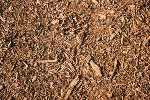 Wood Chips Removal in Alpharetta