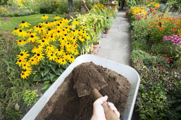 Topsoil Replacement in Alpharetta