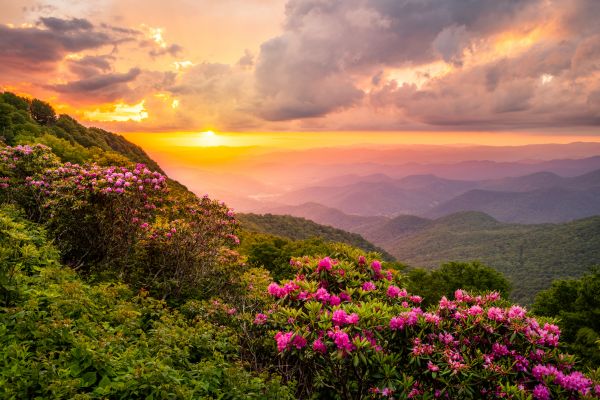 Hill Landscaping in Alpharetta