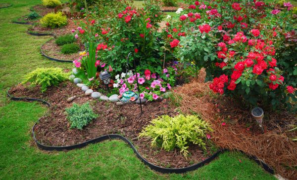 Floral Landscaping in Alpharetta