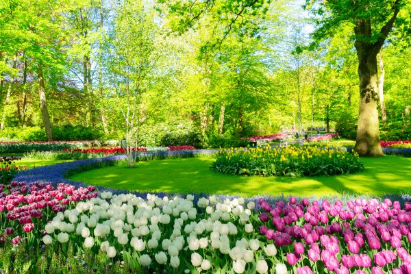 Flower Landscaping in Alpharetta