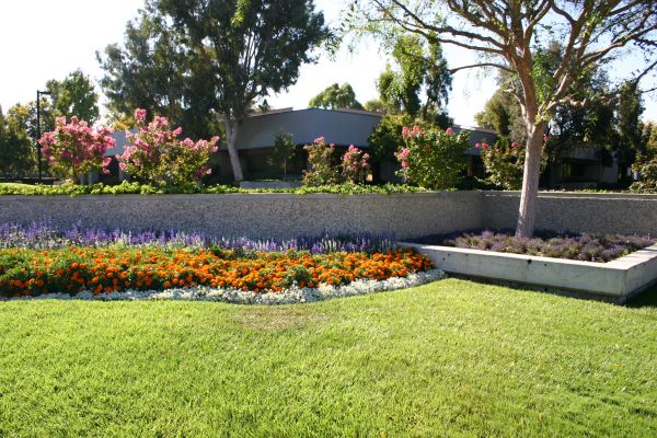 Commercial Landscape Service in Alpharetta