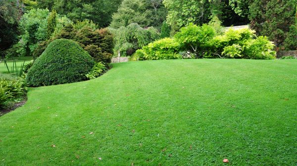 Commercial Landscape Design in Alpharetta