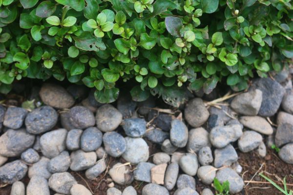 River Stone Installation in Alpharetta