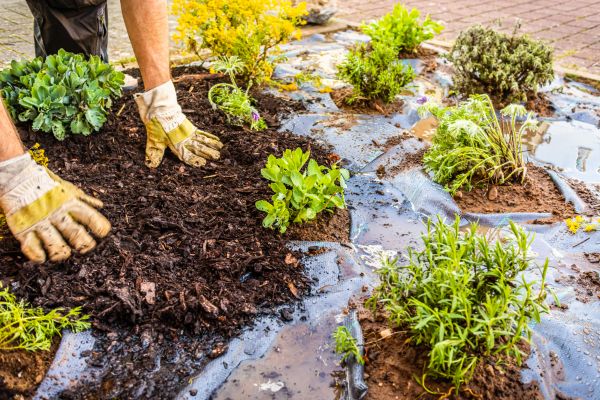 Mulch Fabric Installation in Alpharetta