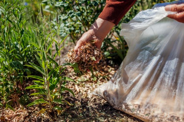 Wood Mulch Installation in Alpharetta