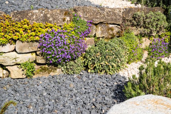 Landscaping Rocks Installation in Alpharetta