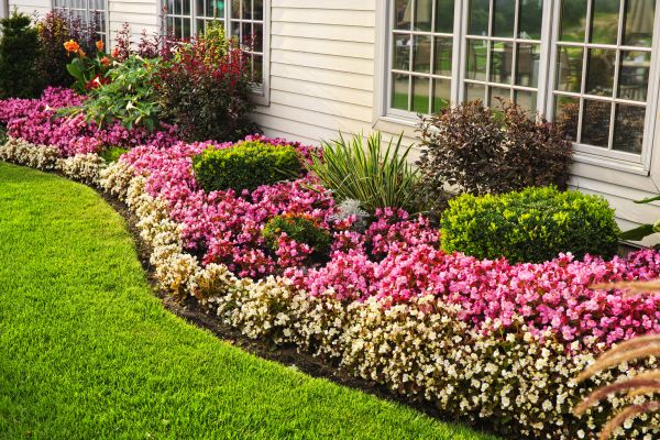 Garden Landscape Design in Alpharetta