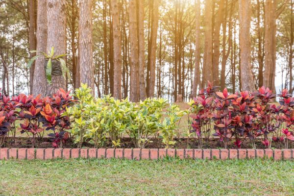 Small Garden Landscaping in Alpharetta