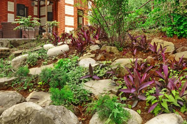 Rock Garden Landscaping in Alpharetta