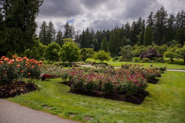 Flower Garden Landscaping in Alpharetta