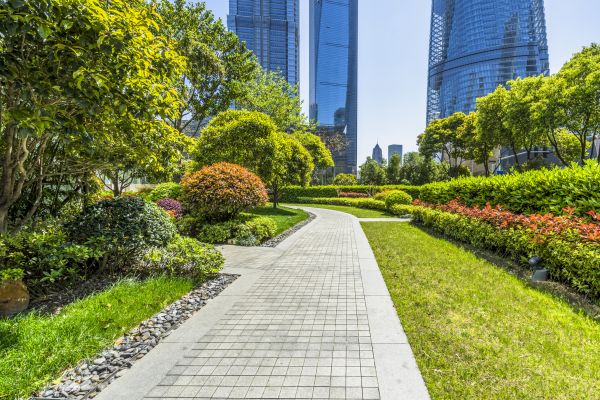 Commercial Landscaping in Alpharetta